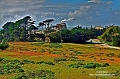 IMG_3139_7_8_adjust