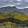 sprig lake - Mt Madonna