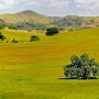 Country Estates adjacent Gilroy Golf Course